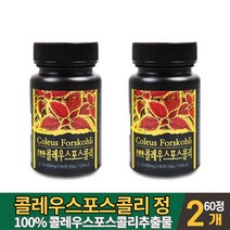 콜레우스 포스콜리 콜리 우스 포스콜리 추출물 콜레오스 포스콜린 가루 분말 정 알약 타입 타블렛 형 먹는법, 2통, 60정