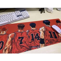 슬램덩크 강백호 nba 르브론 코비 데릭로즈 장패드, 8.강백호2
