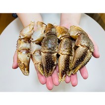 서해안 자연산 급냉 소라게발 1kg [대 품절] [소 40~50미], 1개