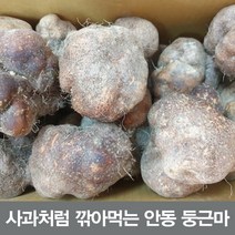 안동참마 알뜰 10kg 정직을 배달합니다, 둥근마 알뜰5kg