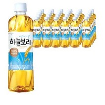 웅진 하늘보리, 34개, 500ml
