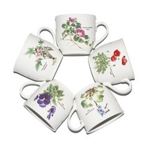 HNYT 와일드플라워 머그세트 5pcs, 단품