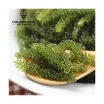 [골든킹] 톡톡 터지는 식감_ASMR푸드 바다포도(우미부도)100g/1팩, 1개, 상세 설명 참조