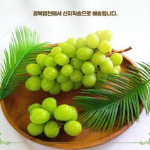 경북 영천 산지 직송 포도 특등급 고당도 샤인머스켓, 특등급2.4kg내외(3수)