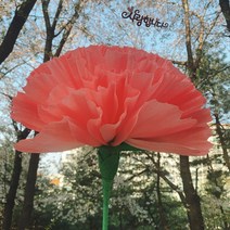 어버이날 스승의날 선물 자이언트 대왕 대형 카네이션 만들기 DIY, 핑크_토퍼미포함