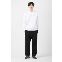 CARHARTT WIP 로튼 팬츠 베스탈 - BLACK
