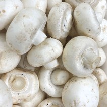 양송이 1kg, 1개
