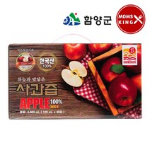 [지리산함양]운림농원 지리산 사과로 만든 사과즙 120ml 30포X2개 선물세트, 단품, 단품