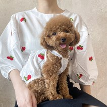 루페루페 강아지 레이스 나시티 개플룩 시밀러룩 견주 커플 옷 S-2XL, 앵두