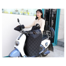 오토바이 무릎 담요 장갑 전기 자전거 스쿠터 방한 방풍 보온 배달 겨울 커버 바람막이 워머, R.구멍1개/수염(사각)/그레이