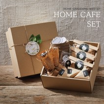 플랜트박스 홈카페세트 선물세트 홈가드닝 씨앗심기 허브씨앗 종자 식물키우기 캐모마일 레몬밤 페퍼민트, 홈카페세트 (캐모마일 레몬밤 페퍼민트)