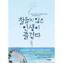 철들지 않은 인생이 즐겁다 : 개정판, 비전비엔피(비전코리아,애플북스), 사이토 히토리 (지은이), 한성례 (옮긴이)