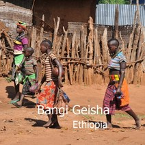 [위트러스트] 에티오피아 방기 게이샤 200g Ethiopia Geisha, 핸드드립