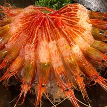 신화수산 활 독도새우 꽃새우 닭새우 냉동 독도새우 냉동꽃새우 냉동닭새우 500g, 1팩, 01_급냉꽃새우(500g)