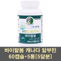 남자아연 알부민 징크 아연 난백 호손베리 로얄제리 인삼 분말 임신준비 글루콘산아연 영양제 캐나다 식약처 간건강 신장 수술후 면역력 가족, 5통, 60캡슐
