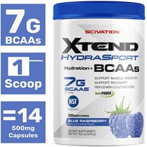 엑스텐드 XTNED Sport Bcaa Powder Blue Raspberry N