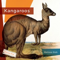 (영문도서) Kangaroos Paperback, Creative Paperbacks, English, 9781682770795