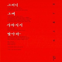 새책-스테이책터 [그러니 그대 사라지지 말아라] -박노해 시집-느린걸음-박노해 지음, 그러니 그대 사라지지 말아라