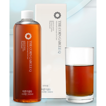 더콘 가그린 어린이 성인 사과향, 500ml 2개