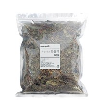 다누푸드 국산 건조 민들레 포공영 차, 1개, 300g