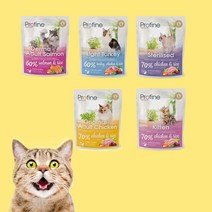 프로파인 고양이 사료 베이비캣 키튼+어덜트헤어볼+중성화+인도어+시니어 라이트 5종 샘플, 라이트 칠면조, 2kg