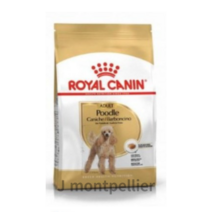 로얄캐닌 어덜트 푸들 강아지 사료 건식사료, 0 곡물, 500g, 80개