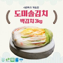 eTV 도미솔김치 백김치3kg, 1