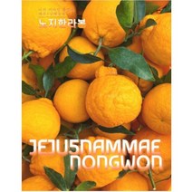 제주 한라봉 5kg 제철과일 농장직송 노지한라봉, 10kg
