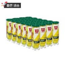윌슨 Wilson 챔피언쉽 테니스 공 엑스트라 듀티 싱글 캔 (3개) 404731, Regular Duty, Single Can (3 Balls)