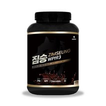 분리유청 단백질 보충제 WPI 93 프로틴 초코맛 1kg