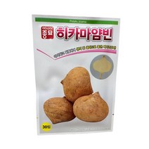 히카마얌빈 씨앗 30립 [22년포장] 멕시코감자 종자 얌빈 종자