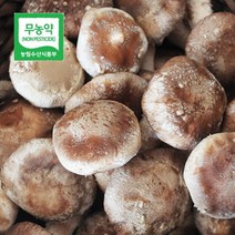 [더자연] 두메골농원 영양 무농약 버섯 착한 송이 500g 상품, 1개