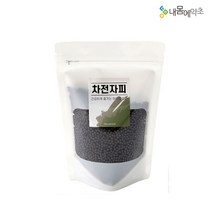내몸에약초 차전자피 환, 1팩, 200g