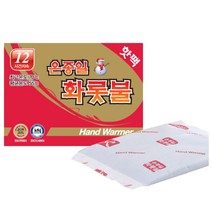 온종일화롯불 핫팩 포켓형 80G 22년 최신생산, 1개