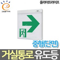 올라이트라이프 LED중형 거실통로 유도등 M타입 고효율, 양방향