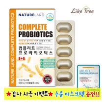 하얀봄 500억 생유산균 프로바이오틱스 프리바이오틱스, 2개, 500mg