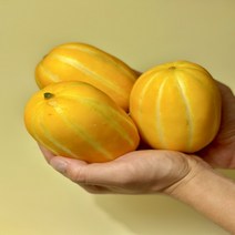 성주참외 못난이참외 5kg 10kg, 대과 특등급 10kg(21~30개입), 1개