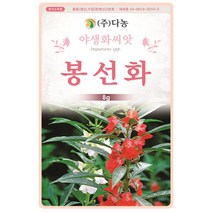 산국화 6000립 - 야생화 씨앗 꽃씨 씨 꽃씨앗 산국화씨앗 산국화씨 다년생 여러해살이 야생화씨앗 꽃 들국화, 25_다농_봉선화(8g)