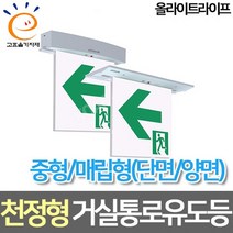 올라이트라이프 LED중형 매립 천정형 거실통로 유도등 고효율, 양면 피난구 기본방향