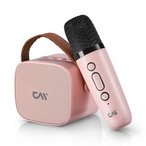 블루투스스피커 무선마이크 노래방기계 가정용 휴대용 캠핑용 노래방 기기 더씽 M45, 핑크
