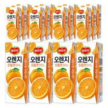 델몬트 드링크 오렌지, 190ml, 56개