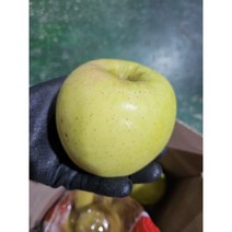 경북 햇사과 시나노골드 황금사과 사이즈 혼합, 2kg, 1개