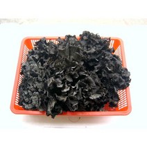 곰버섯2KG 5KG, 2kg