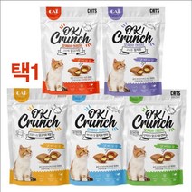 고양이 간식 겉바속촉 퓨레 과자 3봉 깽이 고양이식욕부진 반려동물입양, 1개, 치킨