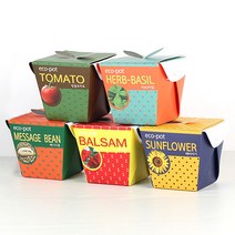 꿈쟁이 에코팟 자연학습 종이화분 식물기르기 방울토마토 허브바질 해바라기 봉선화 메세지콩, 메시지콩