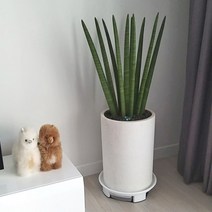 스투키 대형 테라조 화분 세트, 스투키 원형 테라조 화분 세트