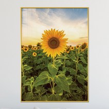 아트블루 돈 들어오는 그림 해바라기 꽃밭 풍경화 액자 개업 집들이 선물, 6_해바라기 꽃밭 R_세로