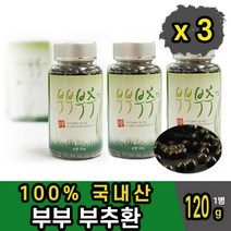 부부 부추 분말가루 환 건강환 x3
