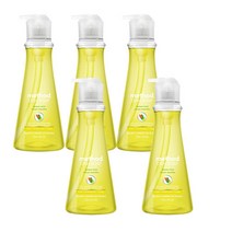 메소드 왕뽀득 주방세제 레몬민트향, 532ml, 5개입