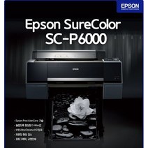 [엡손스토어] 엡손 SC-P6000 24인치 9색 대형포토프린터 롤용지기본지원 (12월 용지증정행사)